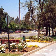 Plants: image 1 0f 4 thumb